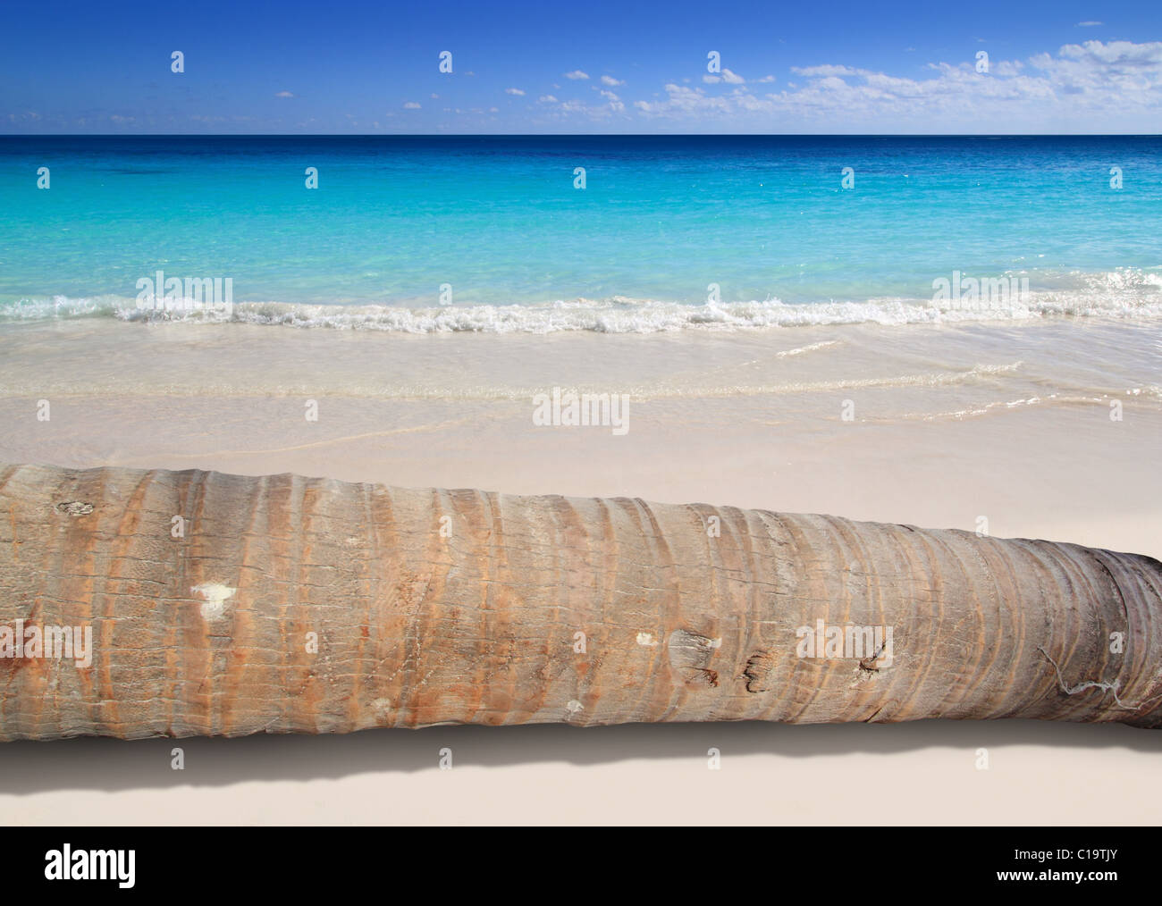 coconut palm tree trunk lying on turquoise beach sand Stock Photo