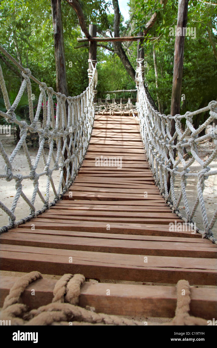 https://c8.alamy.com/comp/C19TYH/adventure-wooden-rope-suspension-bridge-in-jungle-rainforest-C19TYH.jpg