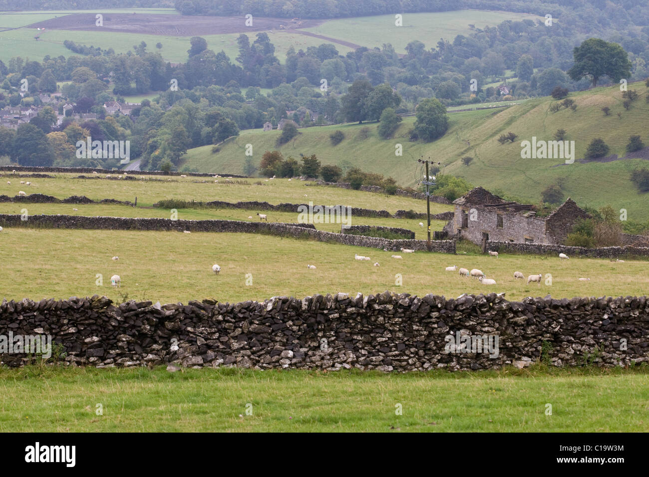 Sheep Grazing in a Derbyshire Landscape Stock Photo