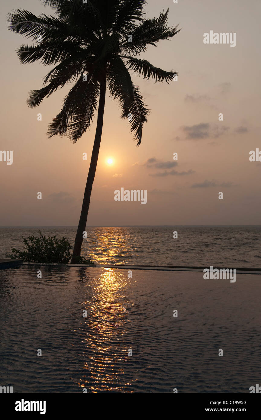 Silhouette of palm tree at sunset, Kumarakom, Kerala, India Stock Photo