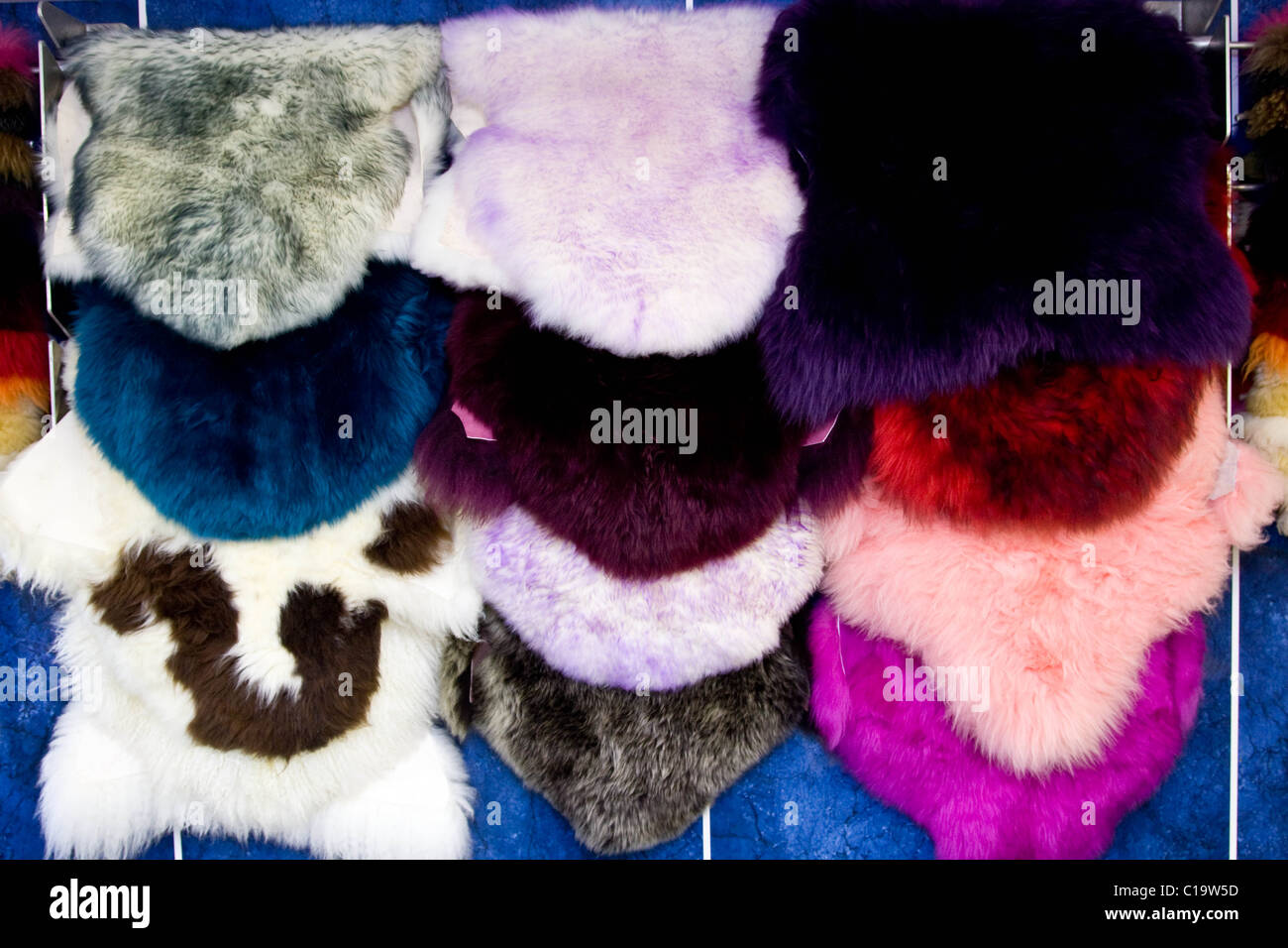 Dyed sheep skins on display in a butchers shop Stock Photo
