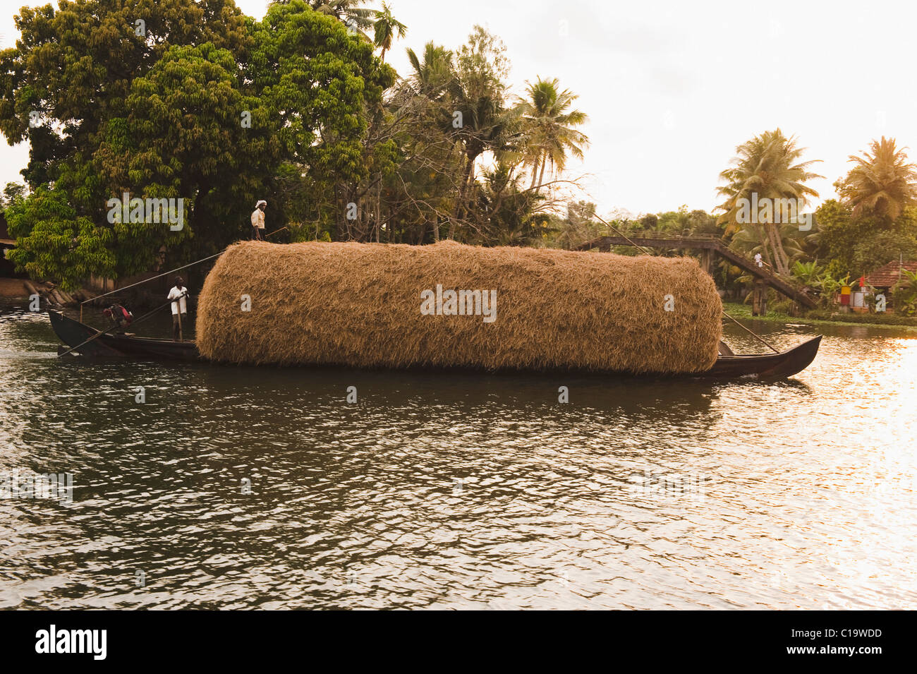 Hay on boat, Kerala Backwaters, Alleppey, Alappuzha District, Kerala, India Stock Photo