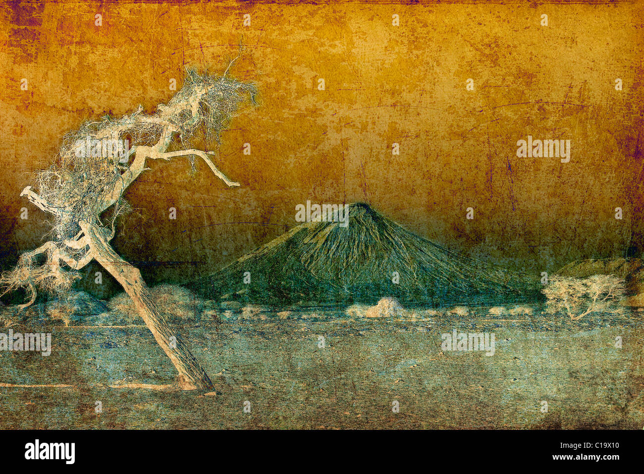 Texture image of Tanzania savannah with Ol Doinyo Lengai volcano in background Stock Photo
