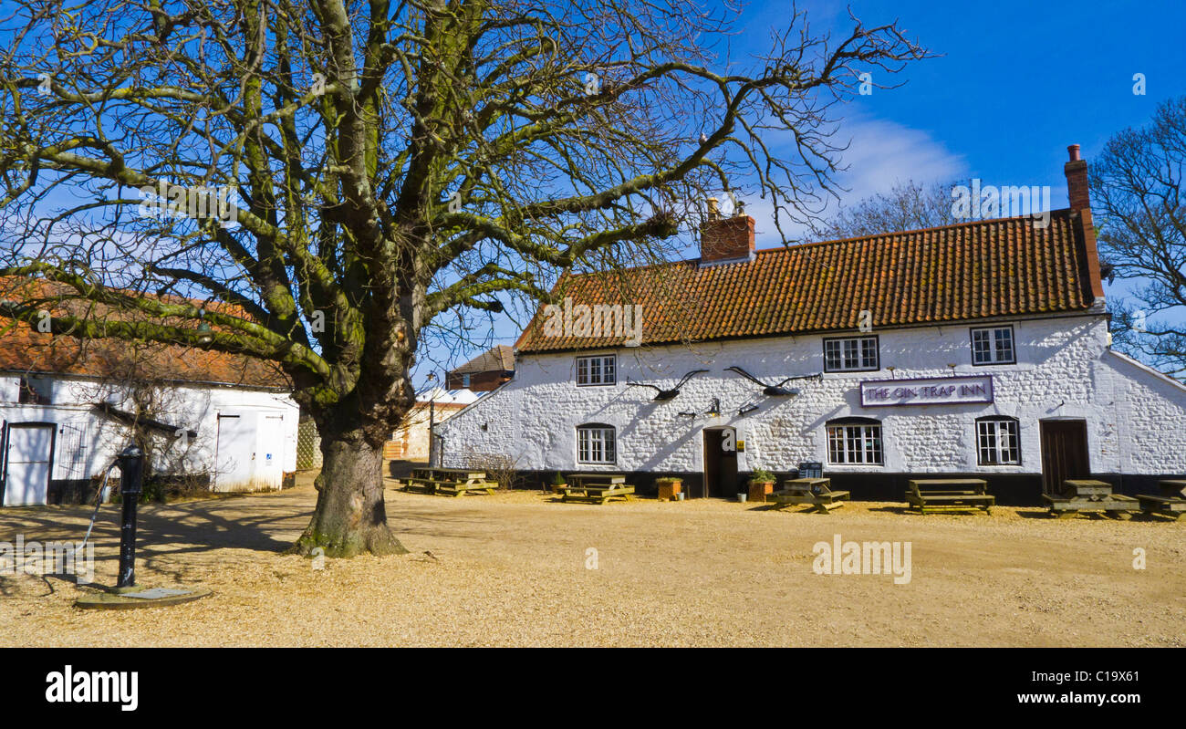 The Gin Trap Inn public house at Ringstead in Norfolk. Stock Photo