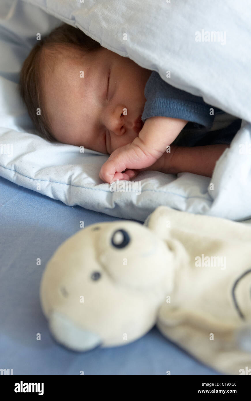 Baby girl sleeping in crib on quilt Stock Photo Alamy