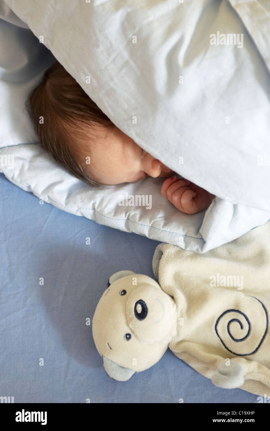 Baby girl sleeping in crib on quilt Stock Photo Alamy