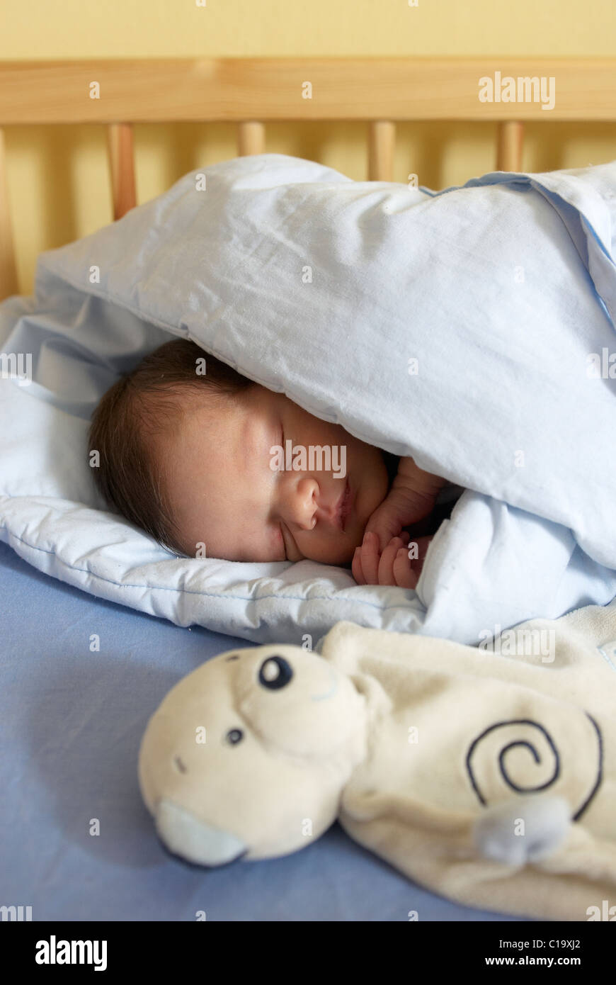 Baby girl sleeping in crib on quilt Stock Photo - Alamy