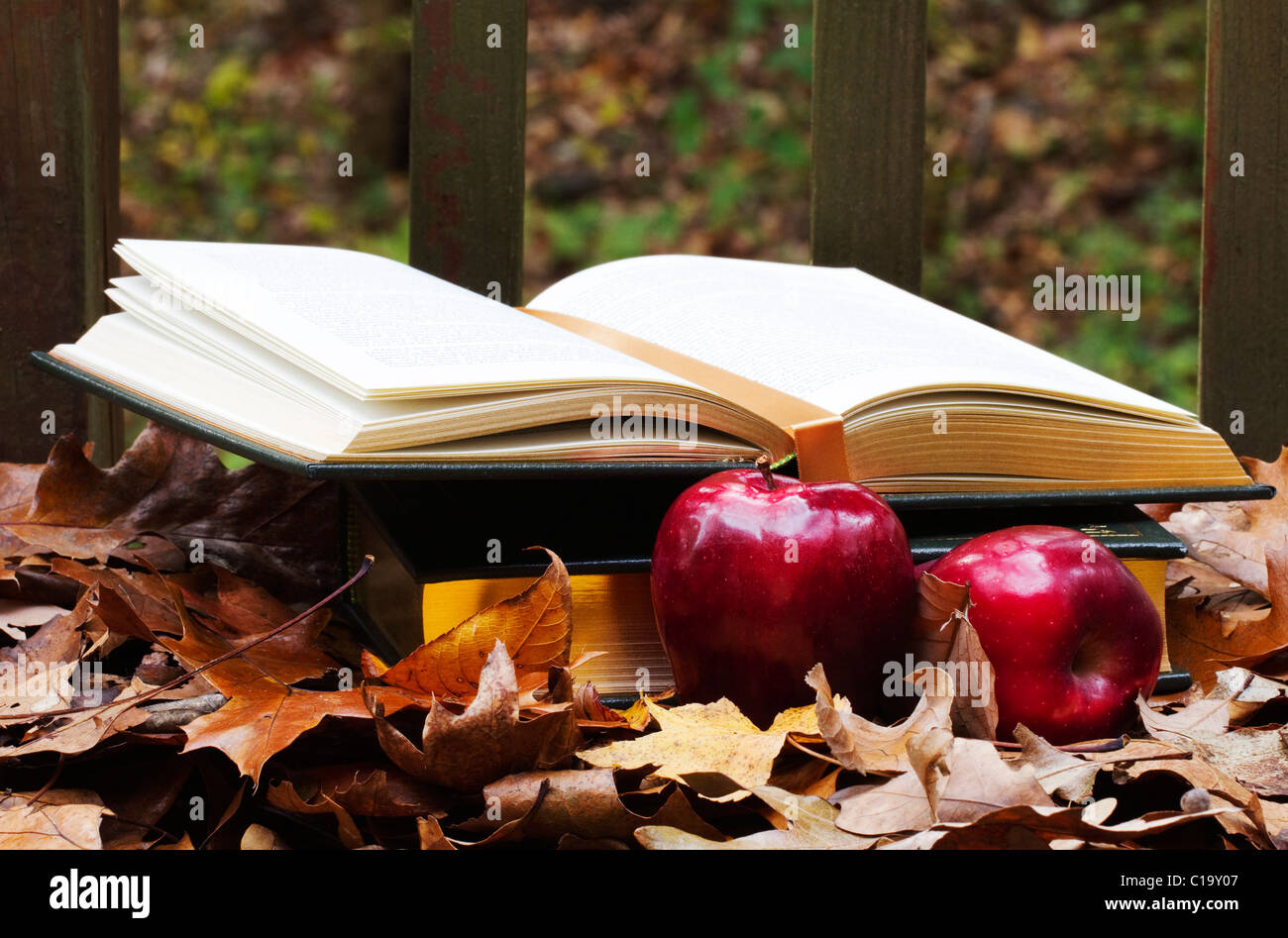 Textbooks nestled in colorful autumn leaves with apples in foreground depict academic emphasis of new school year. Stock Photo