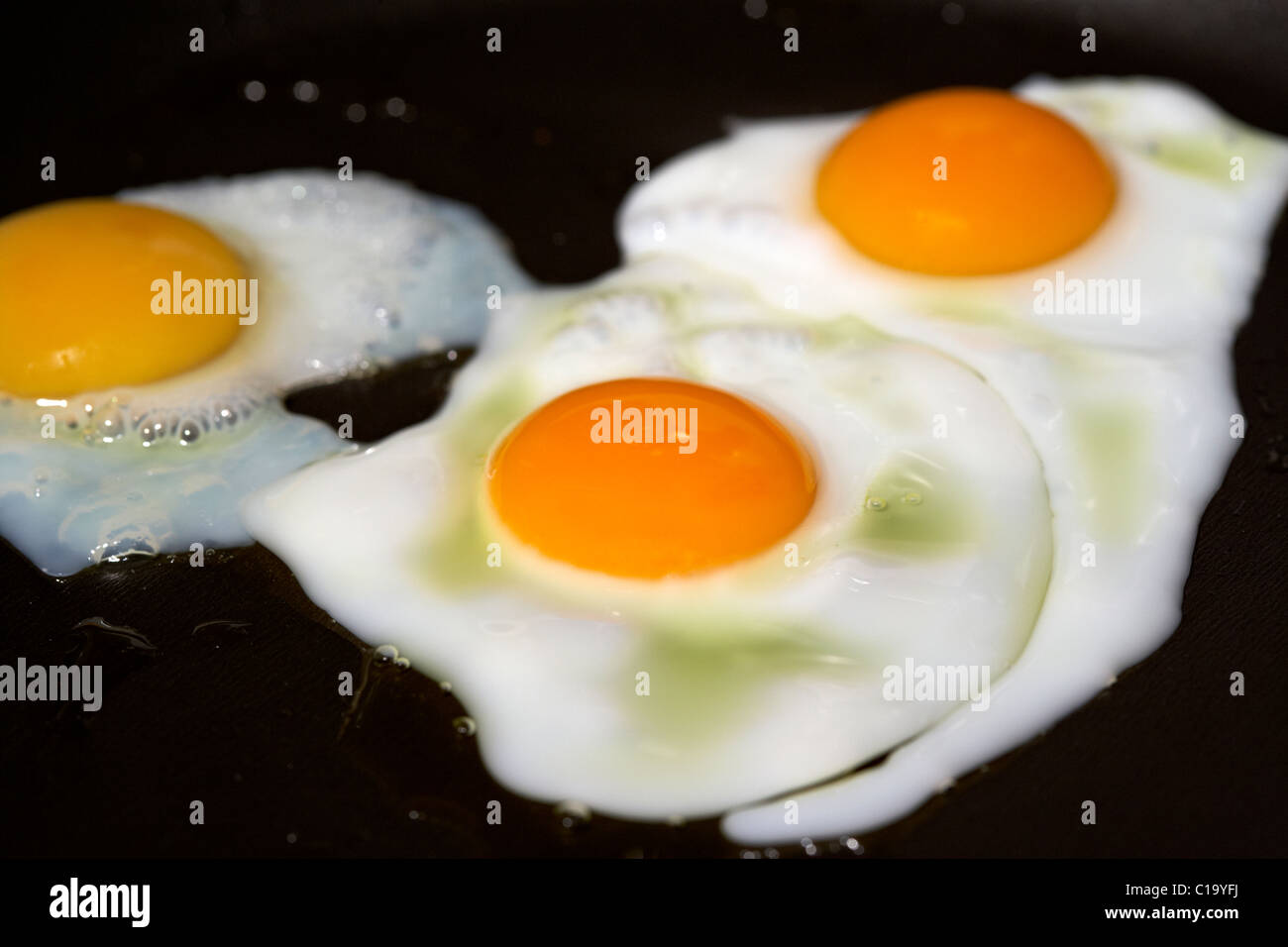 frying quails eggs in a pan Stock Photo