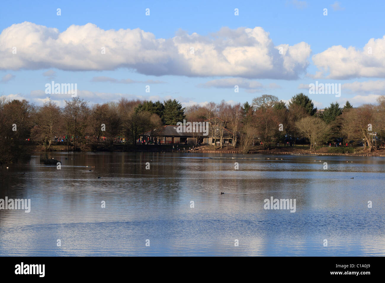 Gnoll Visitors Centre and Great Pond, on a sunny late Winter's day, with a blue sky and white clouds. Stock Photo