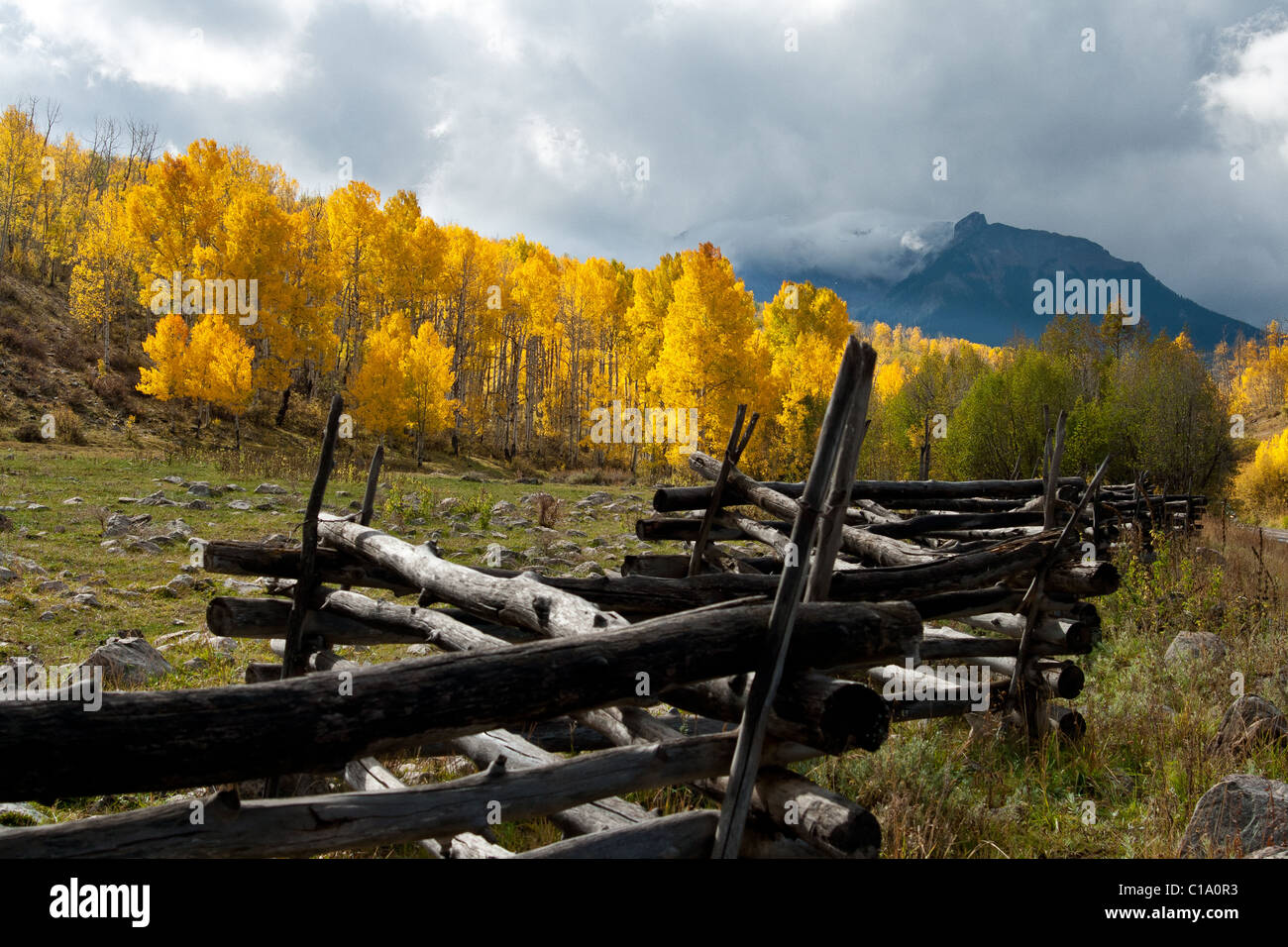 Fence line and fall color Dallas Divide in Colorado Stock Photo