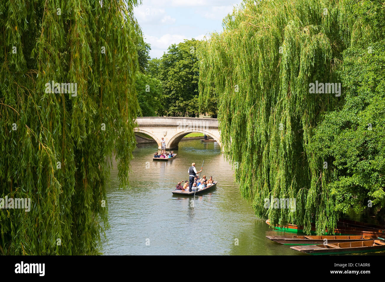 Tourists punting on The Backs, Cambridge Stock Photo