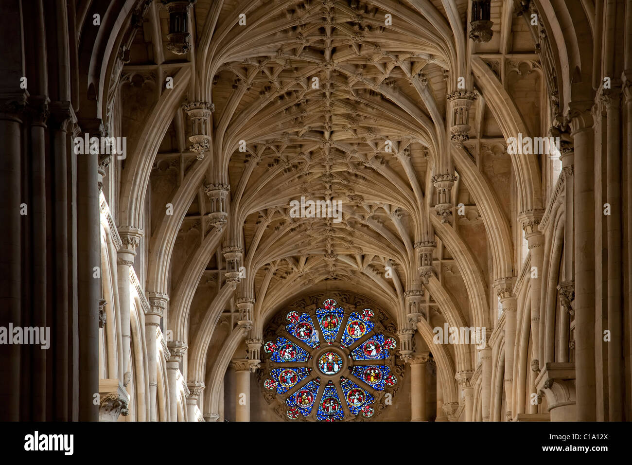 Stained glass and rib-vault ceiling of the Christ Church Cathedral of the Oxford University, Oxfordshire, England, UK Stock Photo