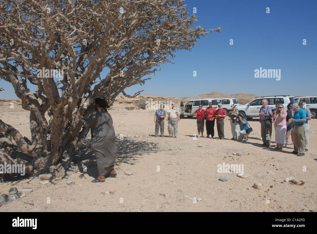 Tourists look at a Frankincense tree in Wadi Dawkah, Southern Oman