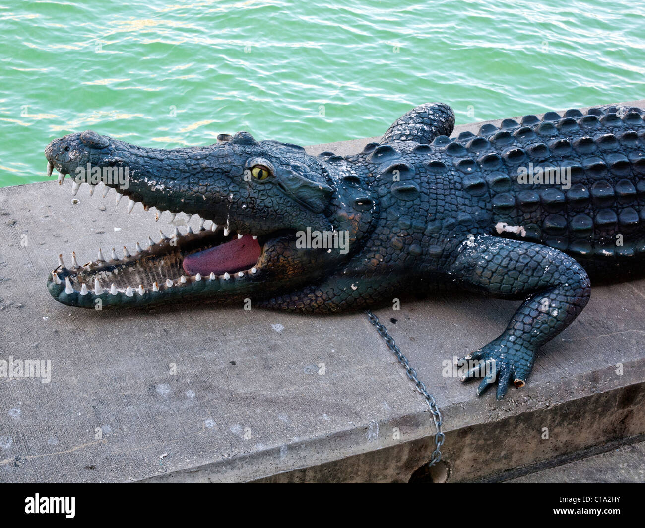 Fake alligator hi-res stock photography and images - Alamy