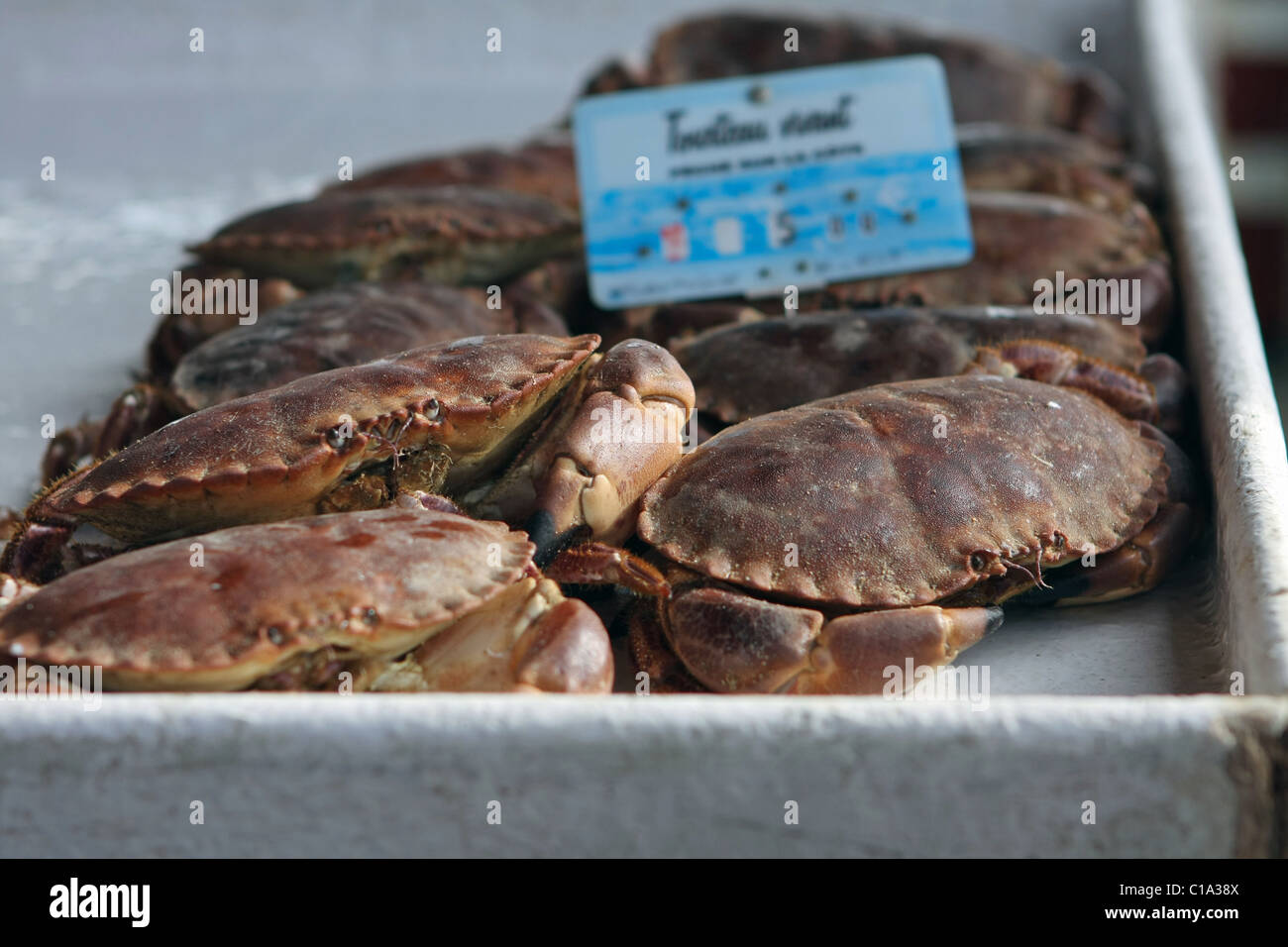 Fresh live crabs in a fish market in Ouisterham, Normandy, France Stock