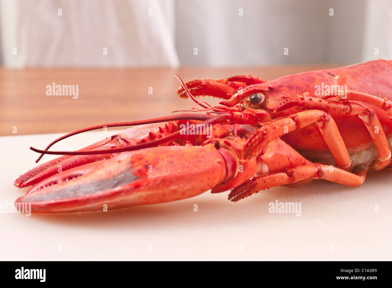 Ready To Eat Frozen Boiled American Lobster Defrosted Before Preparation And Serving Stock Photo Alamy