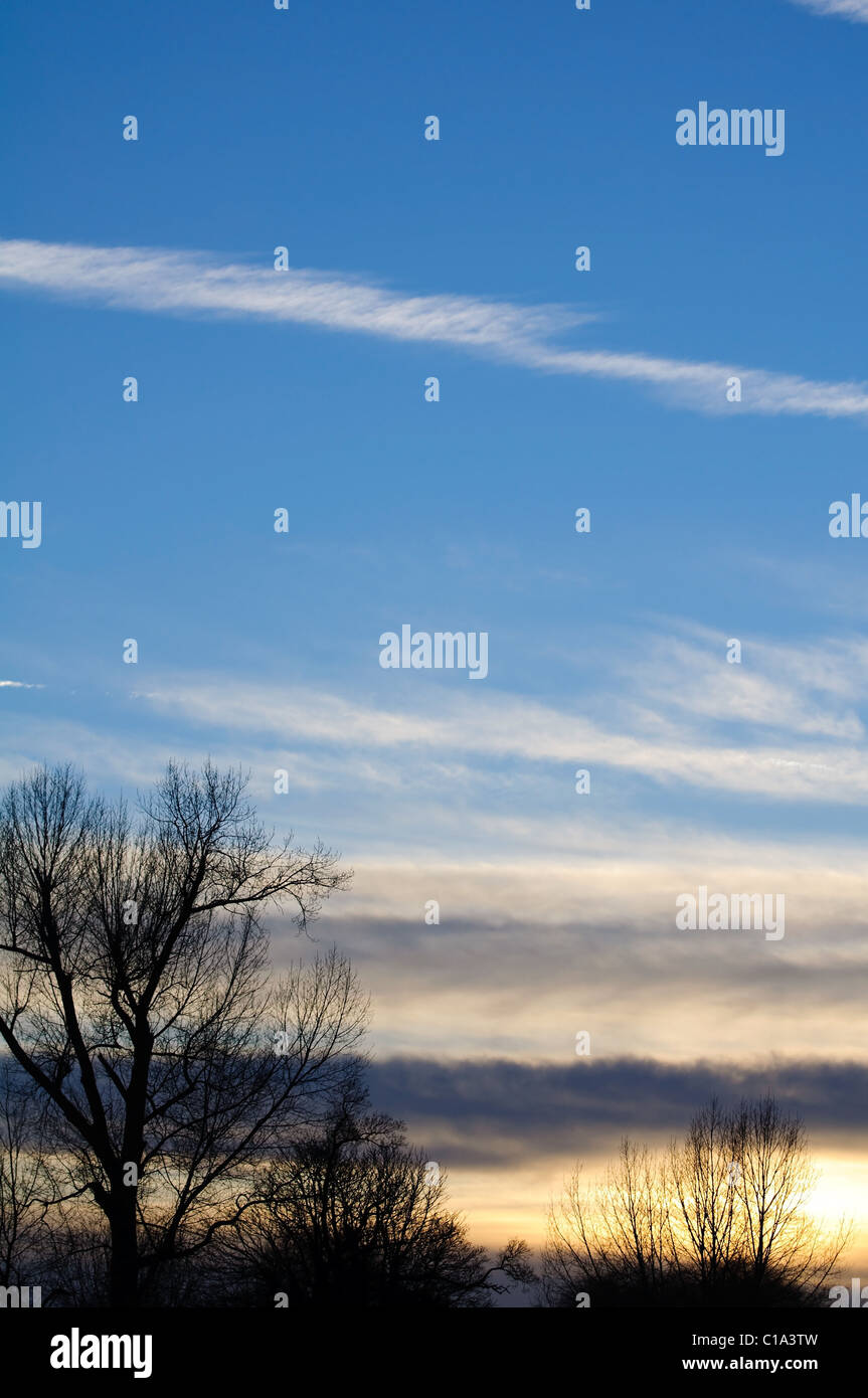 Trees silhouetted against a sunset sky Stock Photo - Alamy