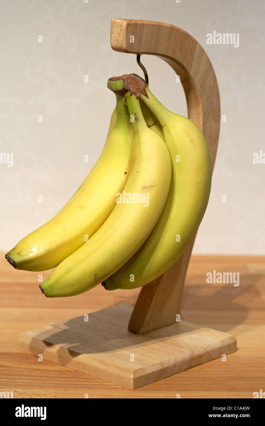 ripening bananas hanging from a wooden banana hanger Stock Photo