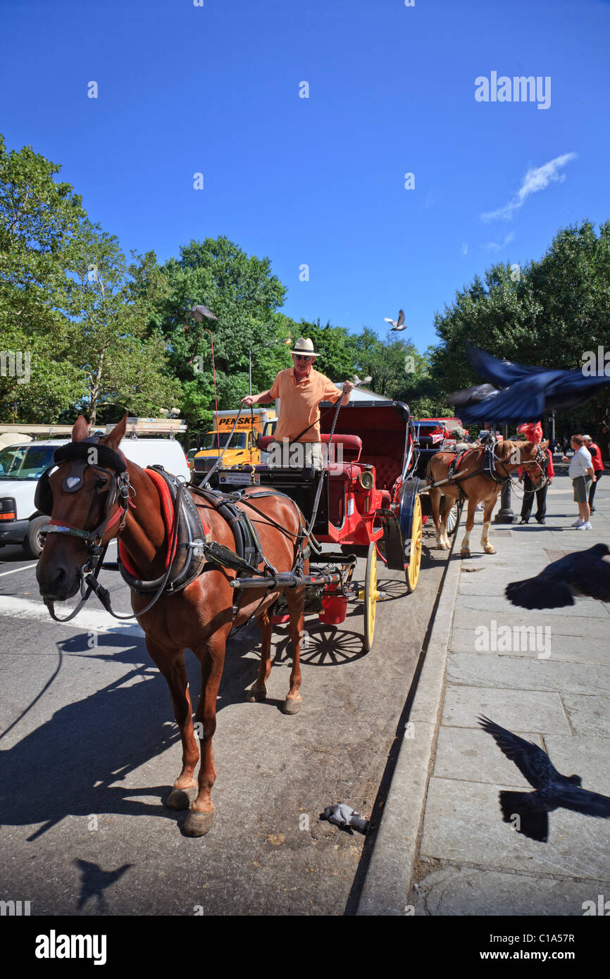 Horse Drawn Carriages in Central Park, NYC. Stock Photo