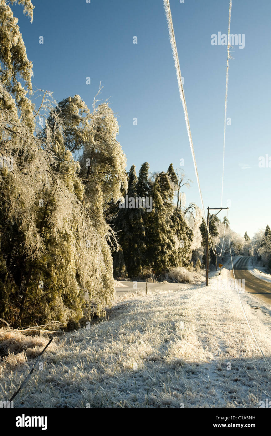 A major ice storm in the mountains of Massachusetts covered trees and ...