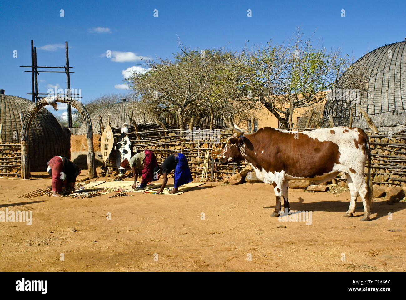 Zulu homestead, Shakaland, South Africa Stock Photo