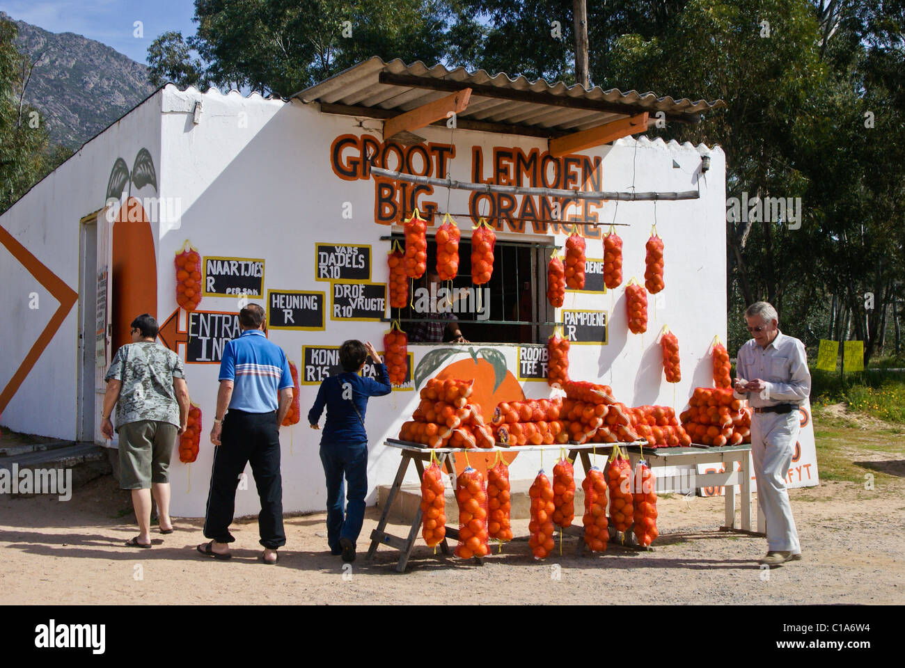 Oranges for sale at roadside stand, Western Cape, South Africa Stock Photo