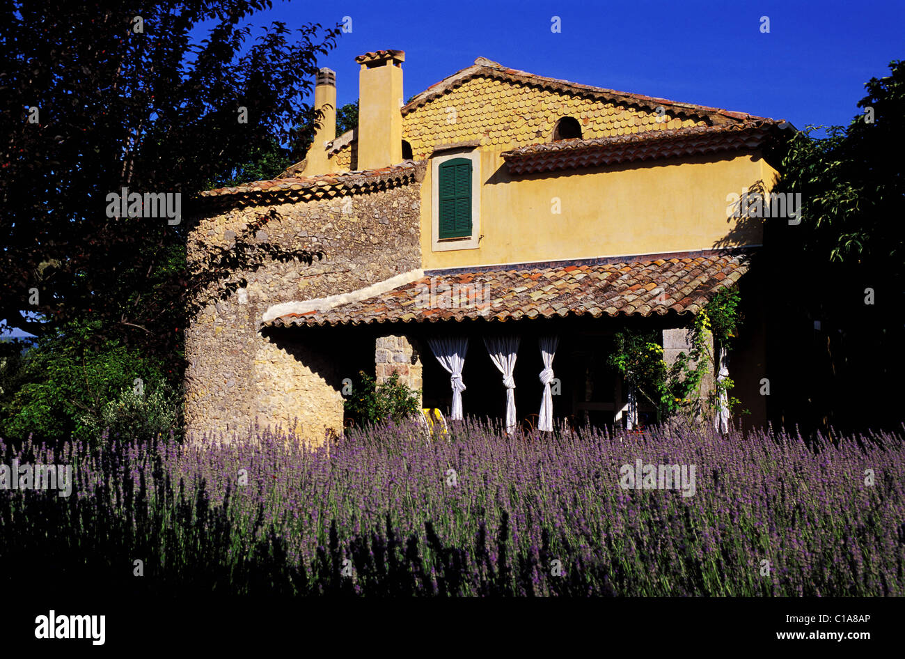 Bras var hi-res stock photography and images - Alamy