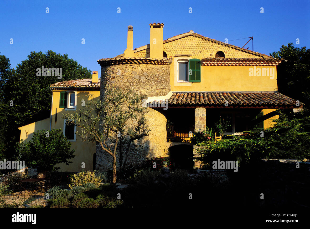 Bras var hi-res stock photography and images - Alamy