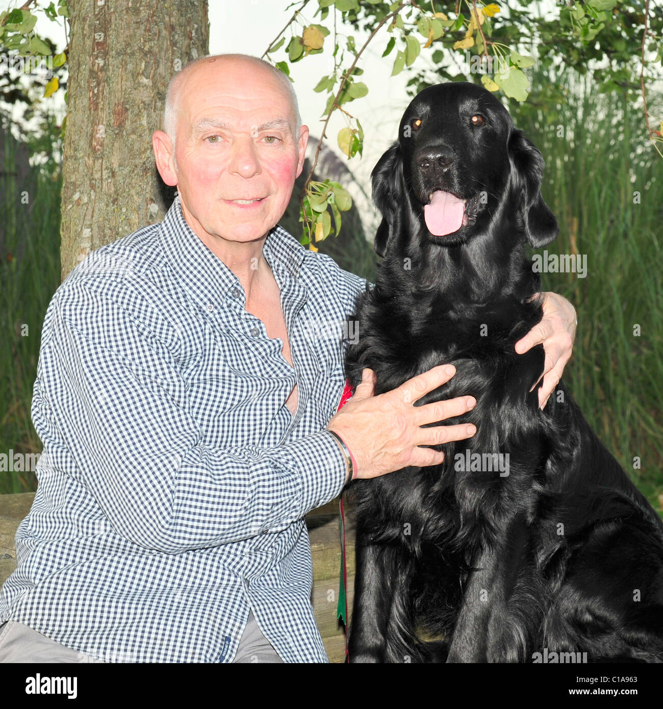 jim irving and jet the winner of crufts best in show Stock Photo