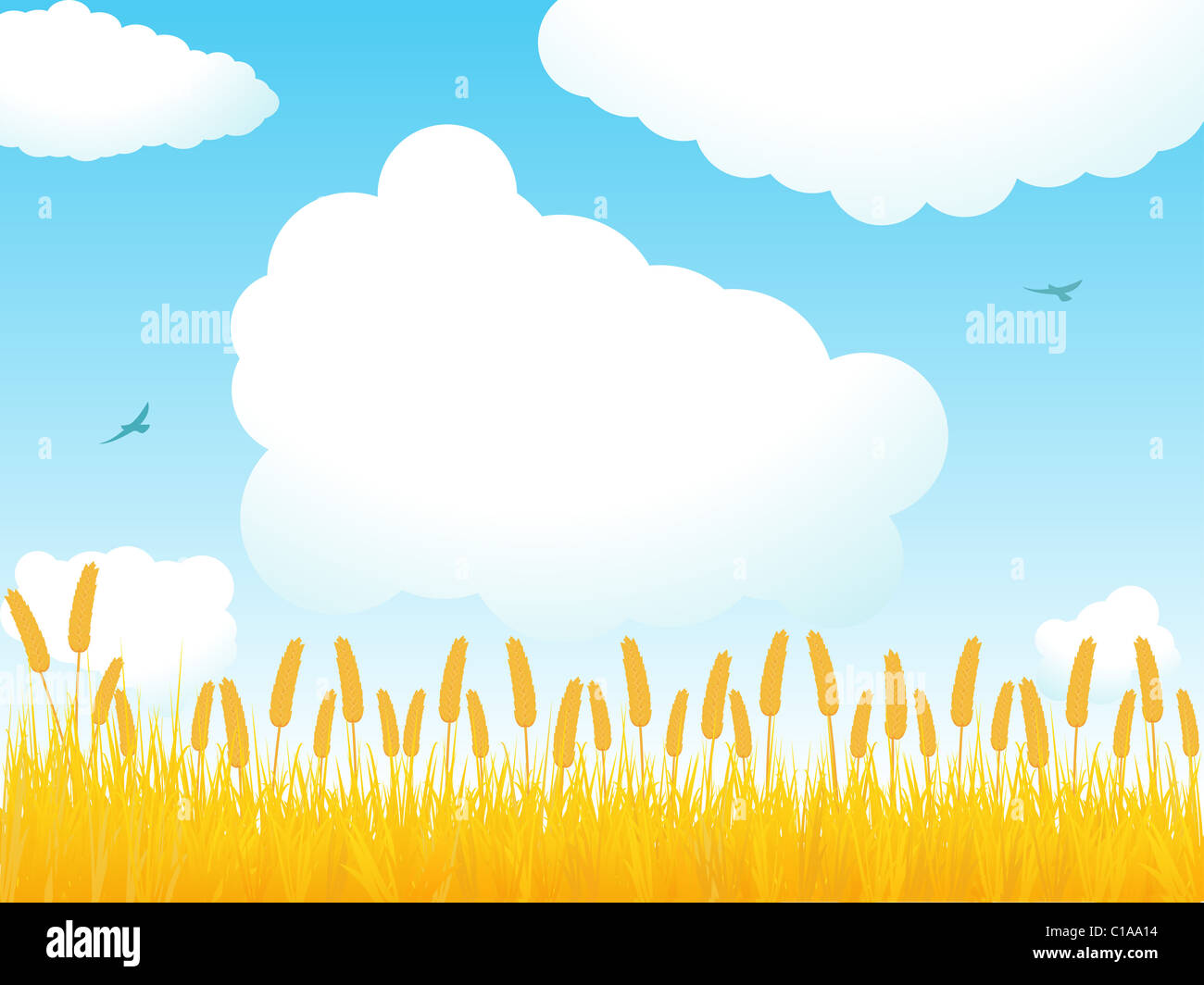 field of corn against a blue sky with fluffly clouds and birds Stock ...