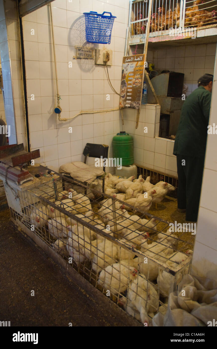 Poultry stalls Souq Al-Had market Agadir the Souss southern Morocco northwestern Africa Stock Photo