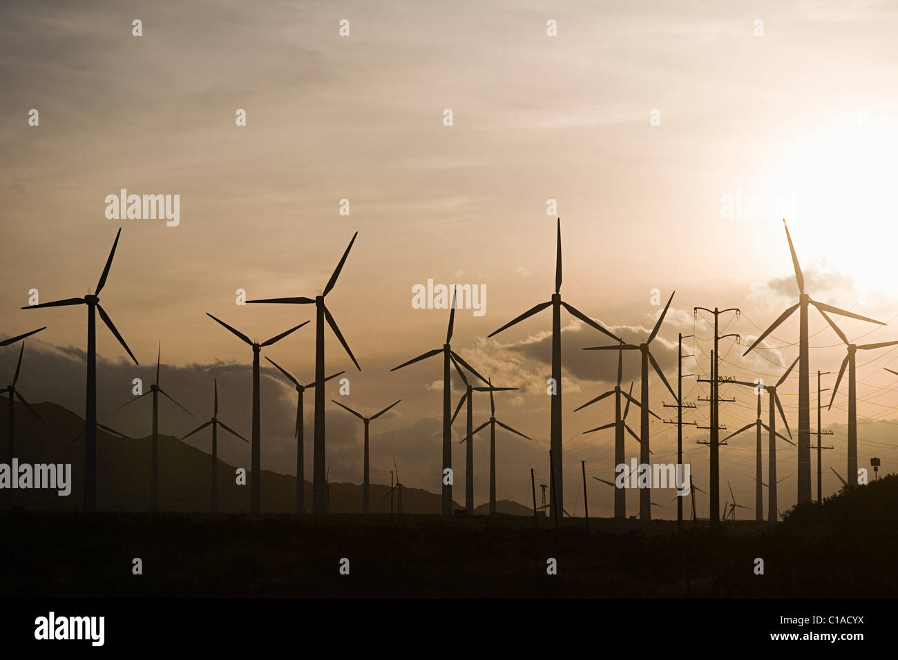 Wind farm, Indian Wells, California, USA Stock Photo