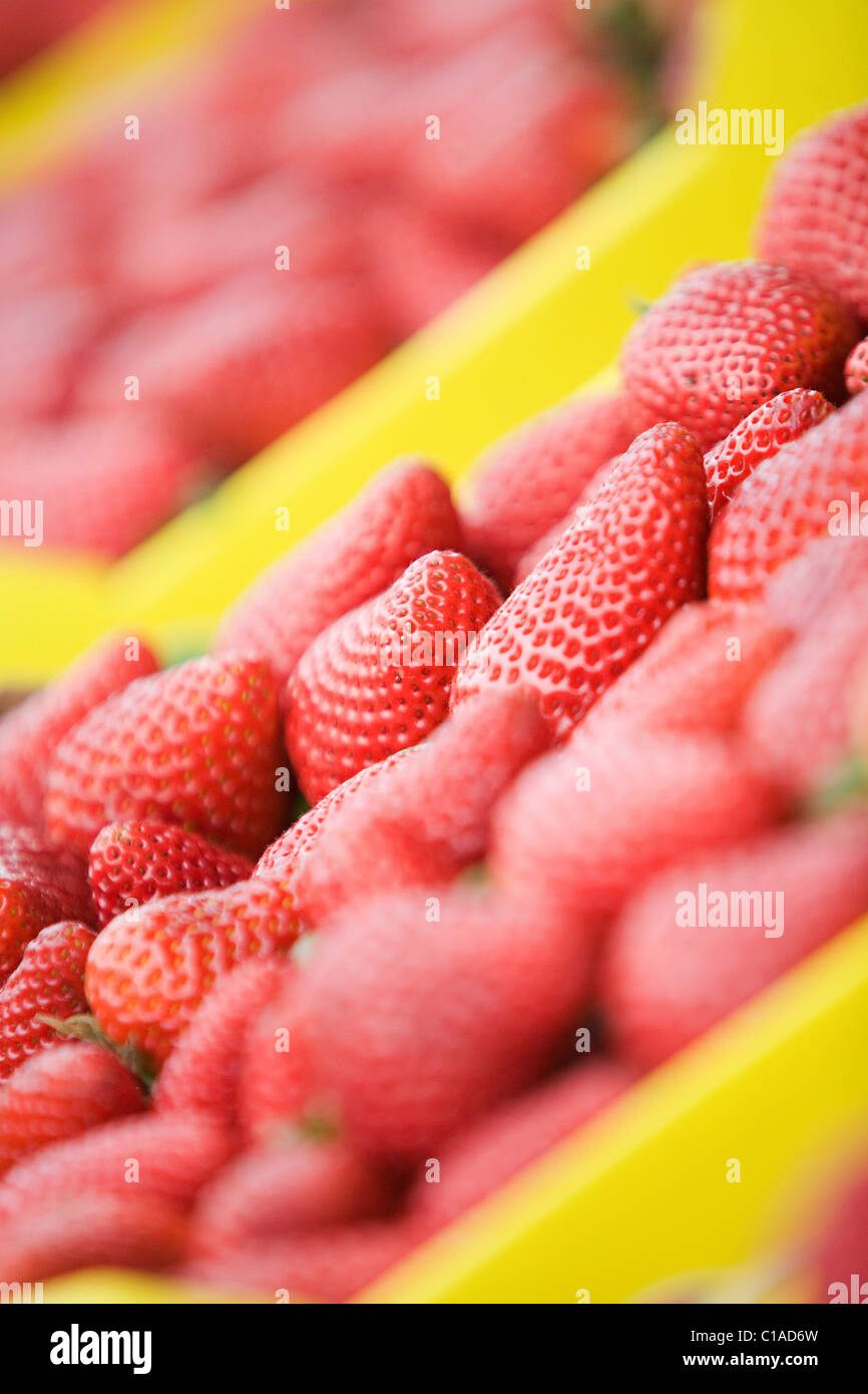 Large group fresh strawberries hi-res stock photography and images - Alamy