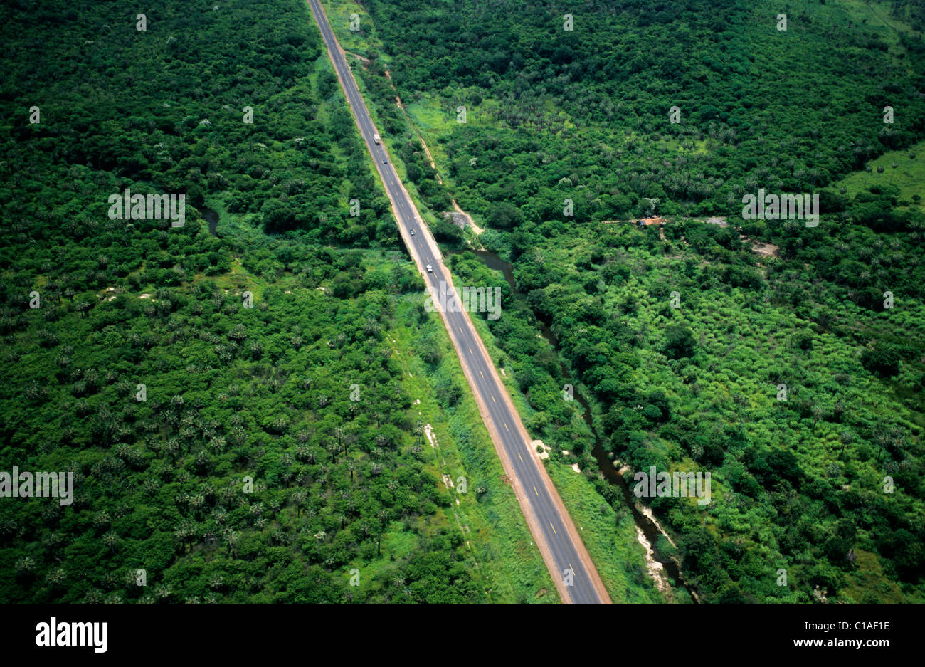 Brazil, state of Ceara, road in the middle of the jungle Stock Photo