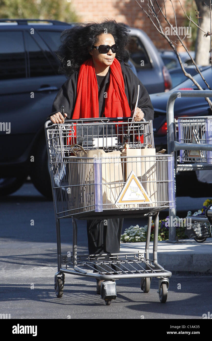 Diana Ross pushing her trolley of groceries at Bristol Farm foods