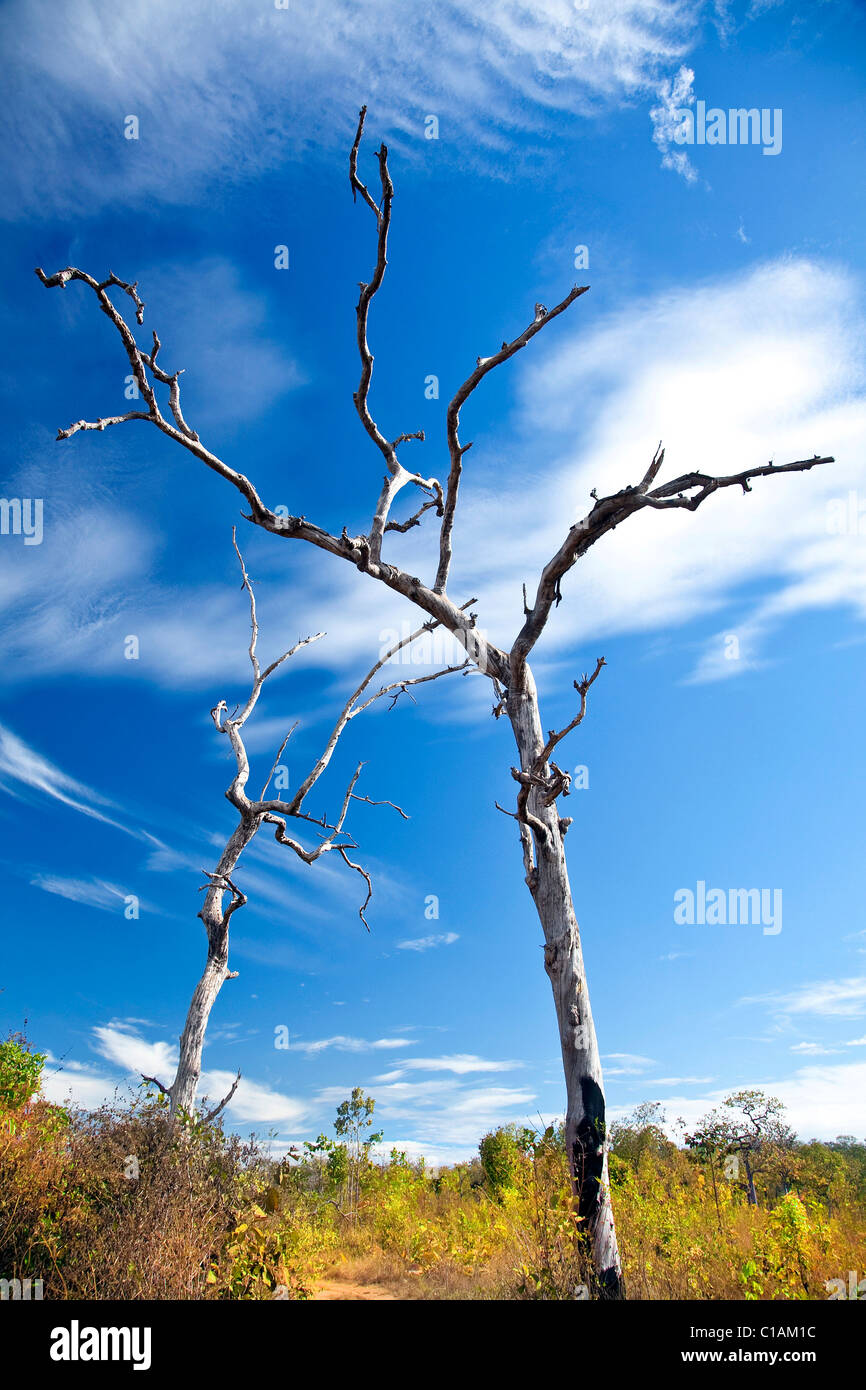 Ratanakiri, Cambodia, Southeast Asia Stock Photo