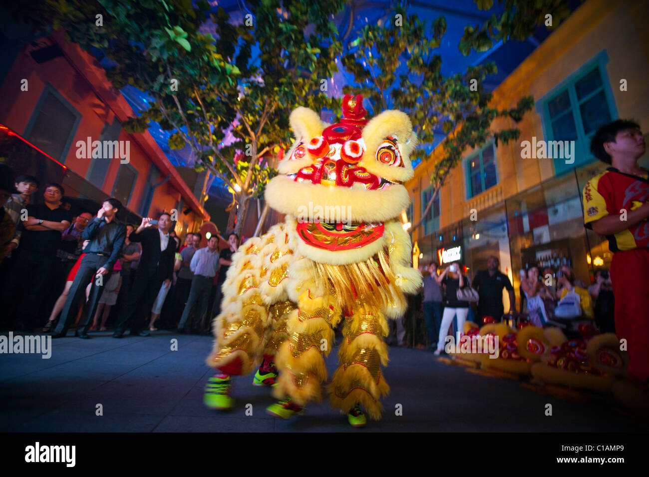 chinese new year lion dance in china