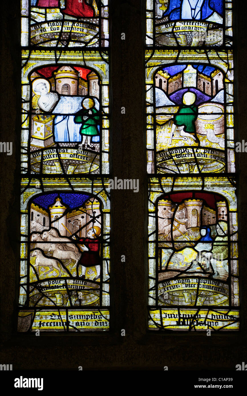 St Neot window medieval english stained glass St Neot Bodmin Moor