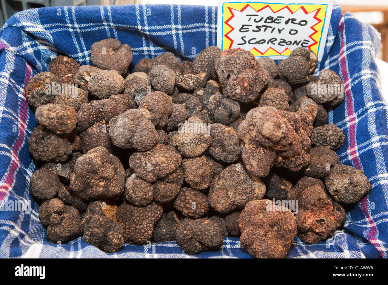 Moncalvo National Truffle Fair, a batch of black summer truffles named Scorzone, Asti, Piedmont