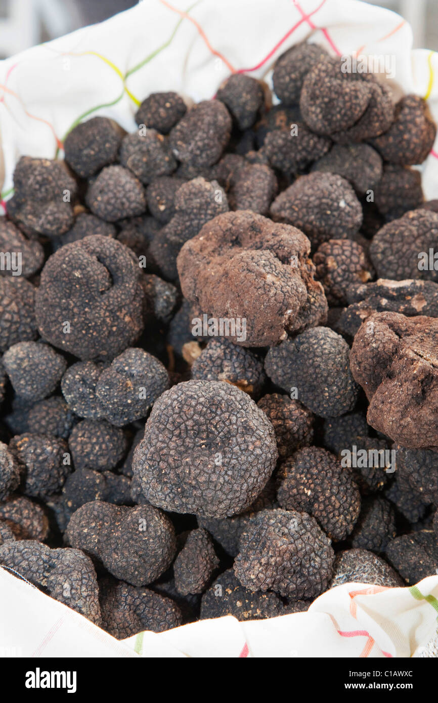 Black truffle and piedmont hires stock photography and images Alamy