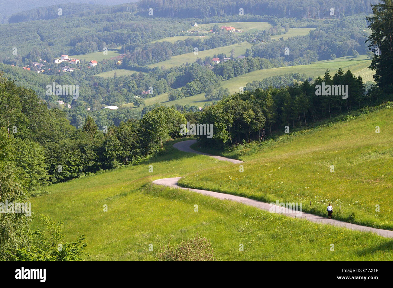 A path leading to the Vienna Woods,Austria Stock Photo