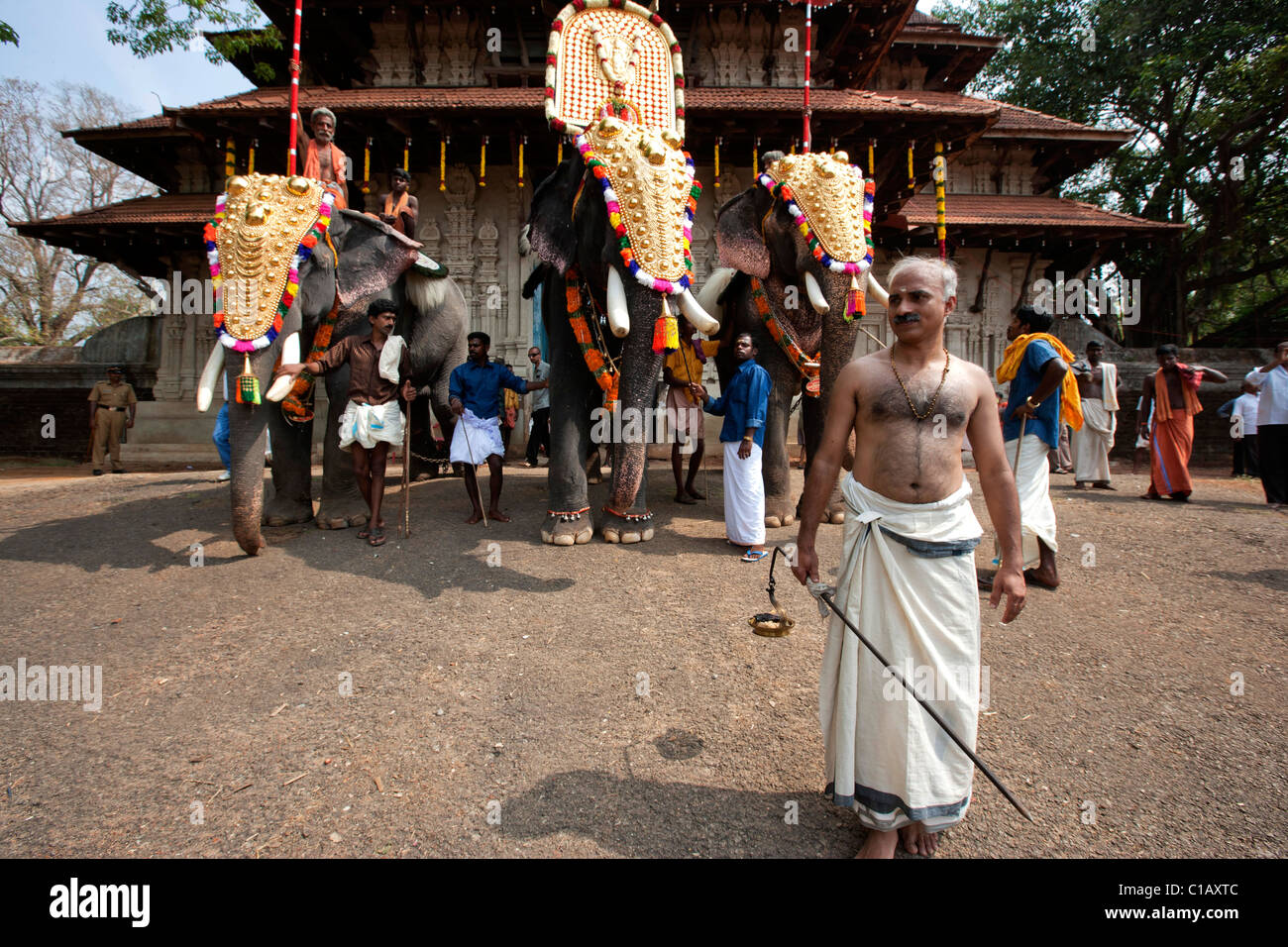 Elephant, Thrissur Pooram festival, Thrissur, Kerala, India, Asia Stock Photo