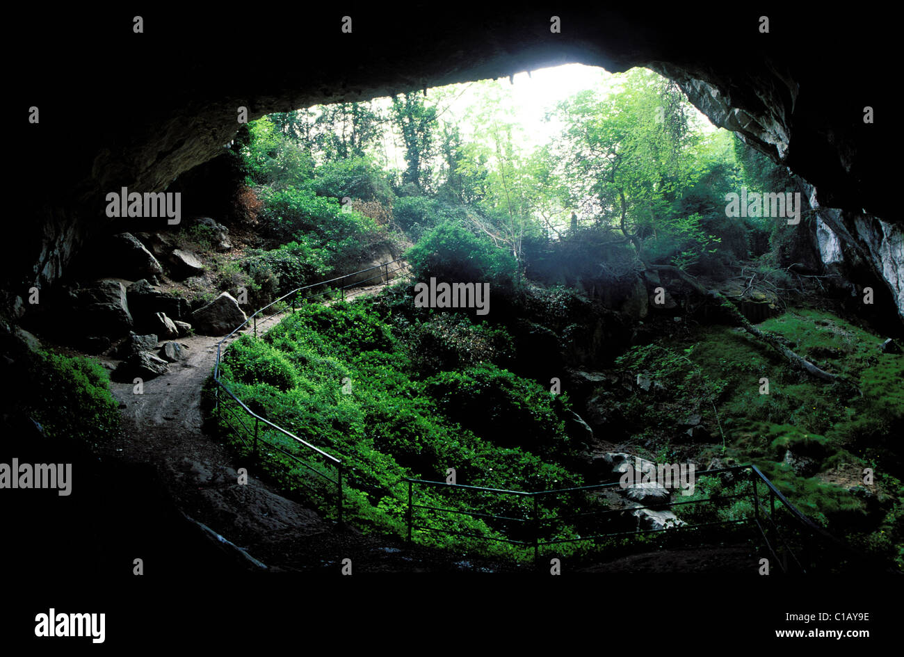 France, Ariege, Tarascon-sur-Ariege, Lombrives cave Stock Photo