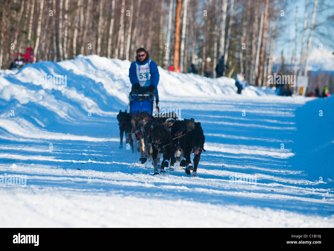 Musher alaska hi-res stock photography and images - Page 3 - Alamy