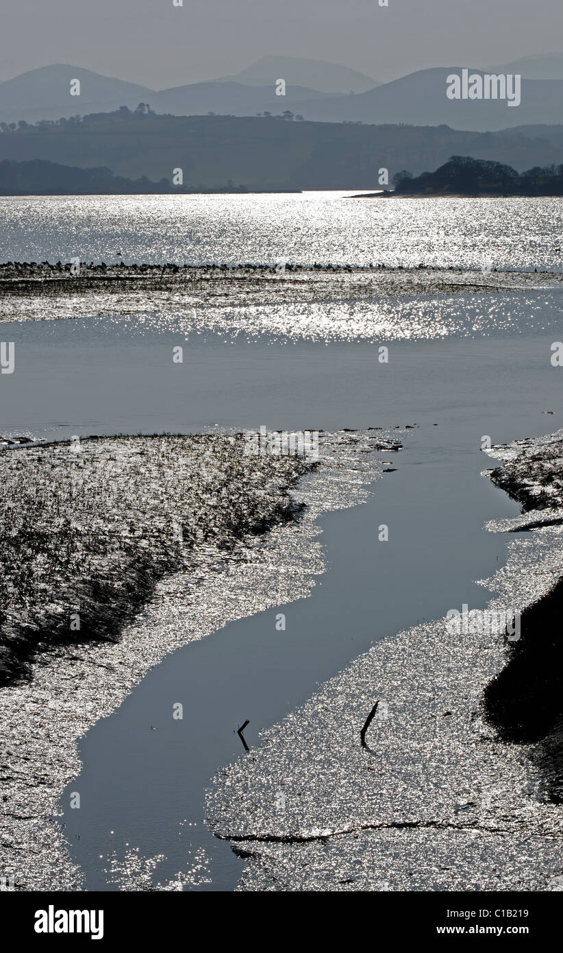 A narrow water formed channel leading into the Conwy Estuary Stock Photo