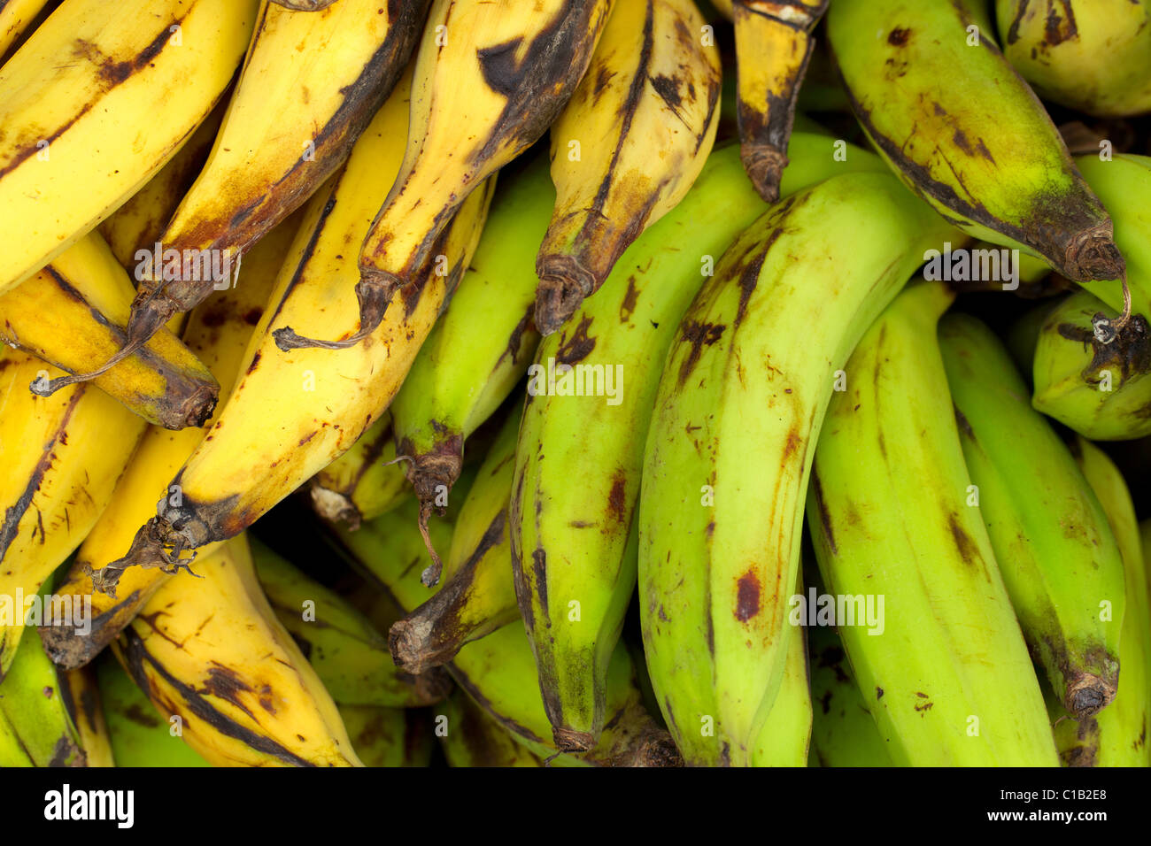 Different Types Of Bananas Displayed In The Market Stock Photo