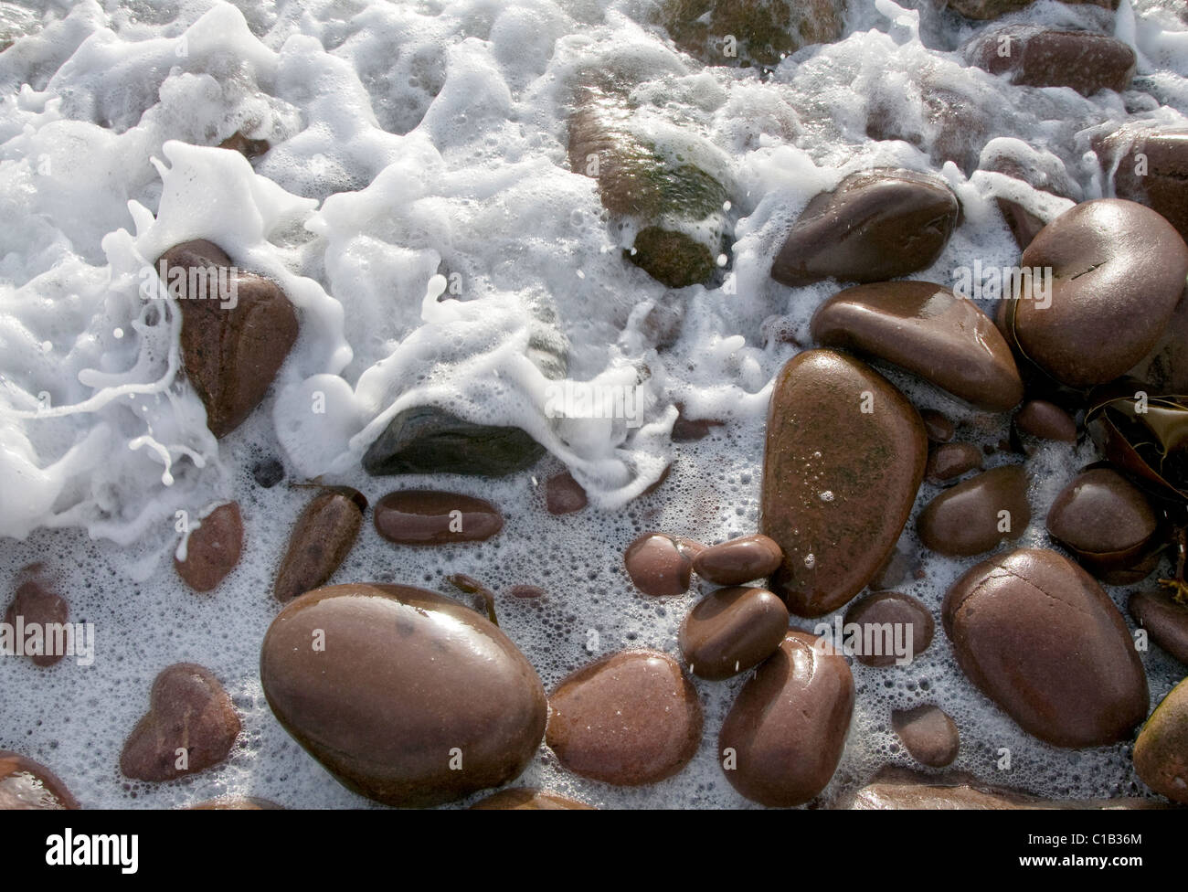 Detail of seawater spume or white foam washing over smooth red pebbles on beach at Applecross, Scottish Highlands Stock Photo