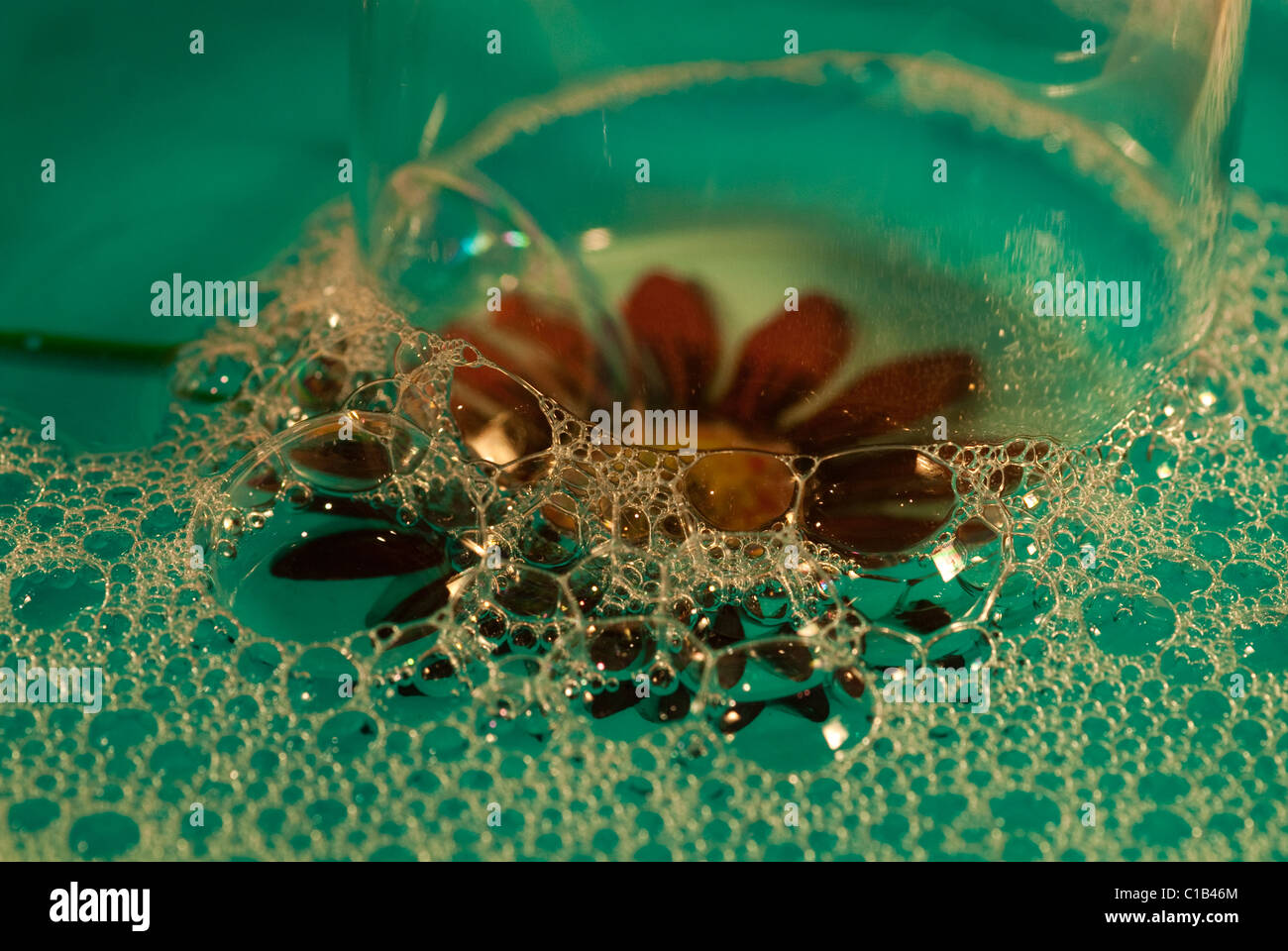 Bubbles on a flowered plate Stock Photo - Alamy