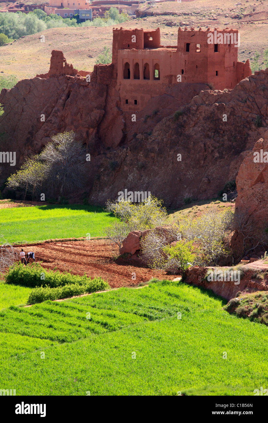 Kasbah in the Dades gorge, overlooking an irrigated oasis, High Atlas region, southern Morocco. Stock Photo